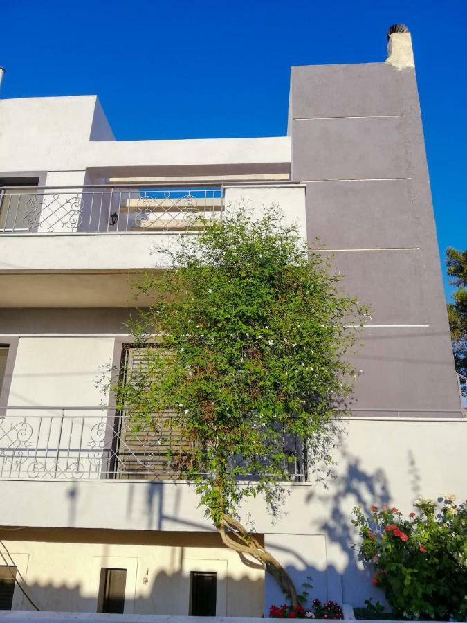 Apartament Filoxenia Artemida  Zewnętrze zdjęcie